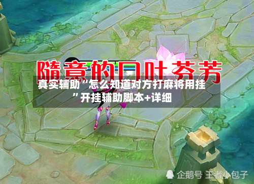 真实辅助“怎么知道对方打麻将用挂”开挂辅助脚本+详细-第1张图片