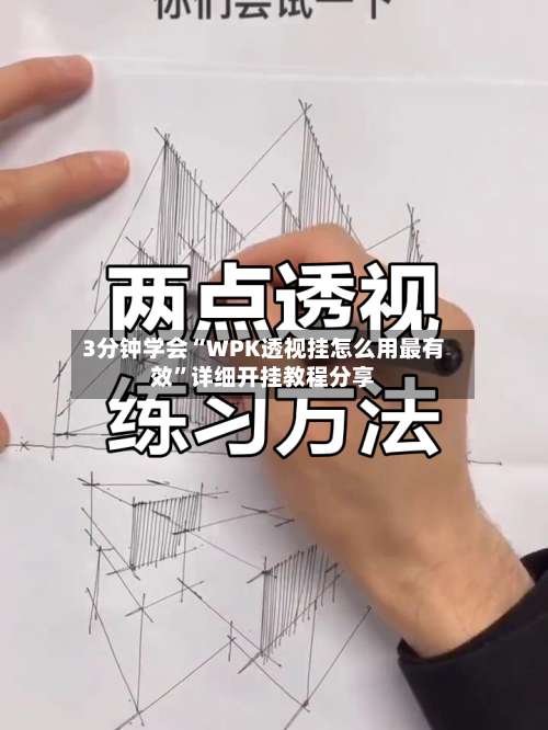 3分钟学会“WPK透视挂怎么用最有效”详细开挂教程分享-第3张图片