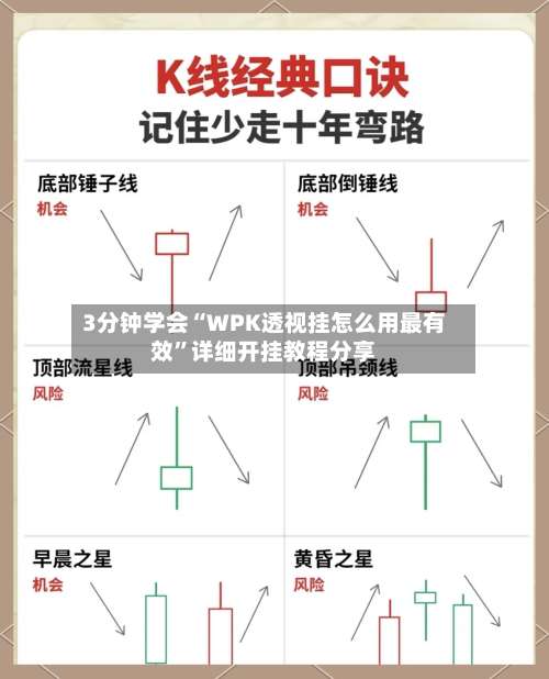 3分钟学会“WPK透视挂怎么用最有效”详细开挂教程分享-第1张图片