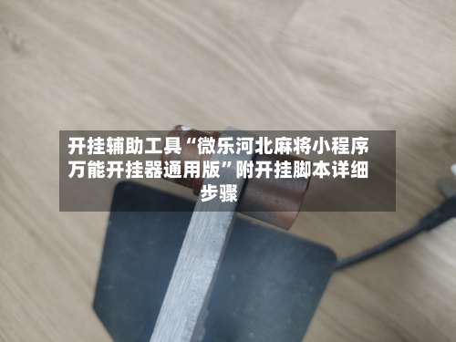 开挂辅助工具“微乐河北麻将小程序万能开挂器通用版”附开挂脚本详细步骤-第2张图片