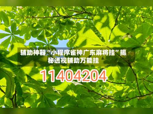 辅助神器“小程序雀神广东麻将挂”揭秘透视辅助万能挂-第1张图片