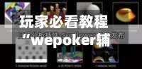玩家必看教程“wepoker辅助透视作弊挂”通用版下载教程！-第2张图片