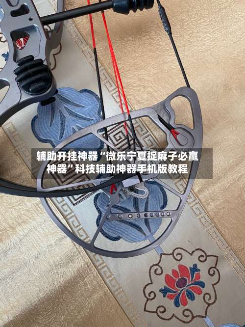 辅助开挂神器“微乐宁夏捉麻子必赢神器”科技辅助神器手机版教程-第1张图片