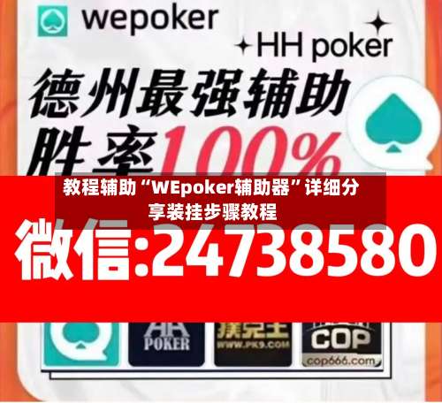 教程辅助“WEpoker辅助器”详细分享装挂步骤教程-第3张图片