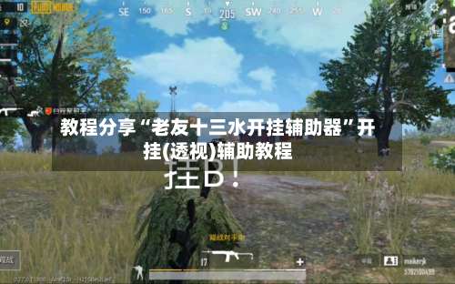 教程分享“老友十三水开挂辅助器”开挂(透视)辅助教程-第2张图片