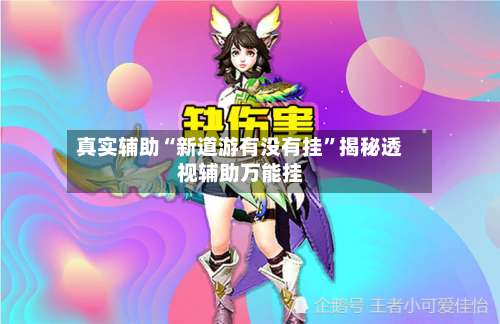 真实辅助“新道游有没有挂”揭秘透视辅助万能挂-第2张图片