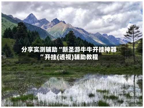 分享实测辅助“新圣游牛牛开挂神器”开挂(透视)辅助教程-第3张图片