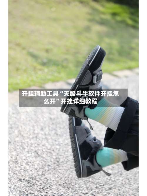 开挂辅助工具“天酷斗牛软件开挂怎么开”开挂详细教程-第2张图片