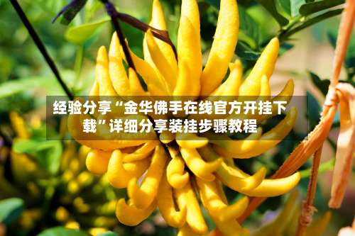 经验分享“金华佛手在线官方开挂下载	”详细分享装挂步骤教程-第1张图片