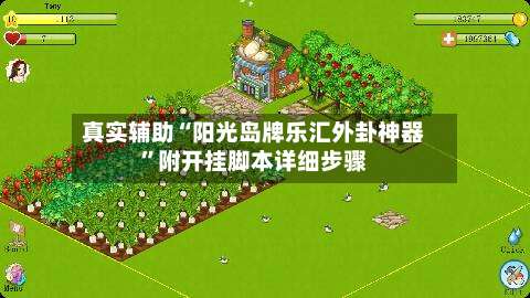 真实辅助“阳光岛牌乐汇外卦神器	”附开挂脚本详细步骤-第2张图片