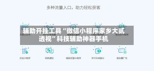 辅助开挂工具“微信小程序家乡大贰透视”科技辅助神器手机-第3张图片