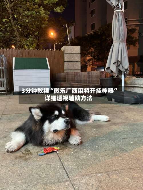 3分钟教程“微乐广西麻将开挂神器”详细透视辅助方法-第2张图片