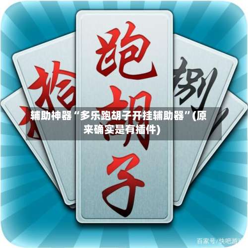 辅助神器“多乐跑胡子开挂辅助器”(原来确实是有插件)-第1张图片