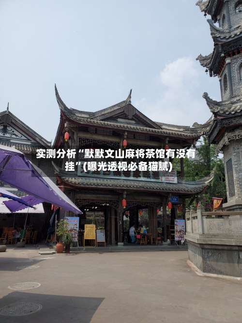 实测分析“默默文山麻将茶馆有没有挂”(曝光透视必备猫腻)-第2张图片