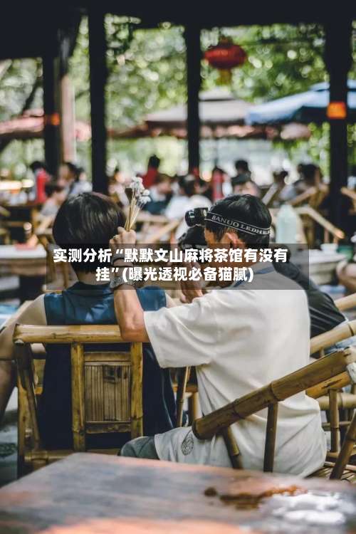 实测分析“默默文山麻将茶馆有没有挂	”(曝光透视必备猫腻)-第1张图片