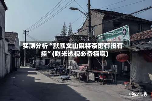 实测分析“默默文山麻将茶馆有没有挂”(曝光透视必备猫腻)-第3张图片