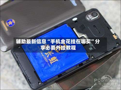 辅助最新信息“手机金花挂在哪买”分享必要外挂教程-第3张图片