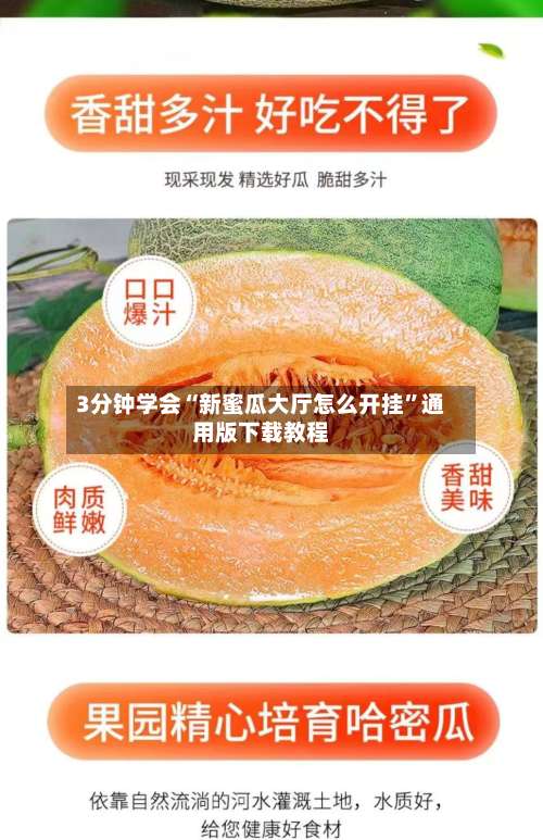 3分钟学会“新蜜瓜大厅怎么开挂	”通用版下载教程-第1张图片