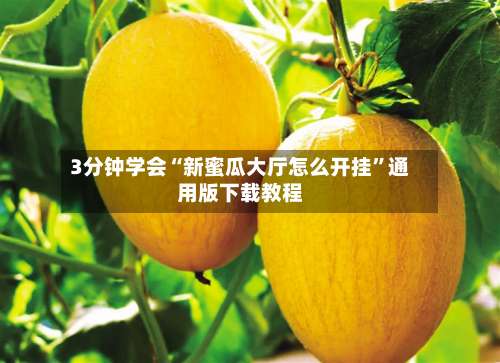 3分钟学会“新蜜瓜大厅怎么开挂”通用版下载教程-第2张图片