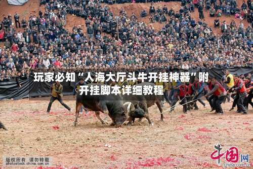 玩家必知“人海大厅斗牛开挂神器”附开挂脚本详细教程-第1张图片