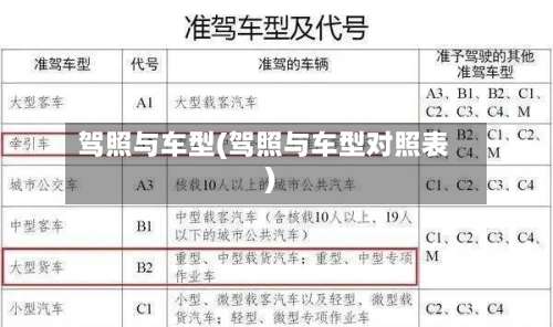 驾照与车型(驾照与车型对照表)-第2张图片