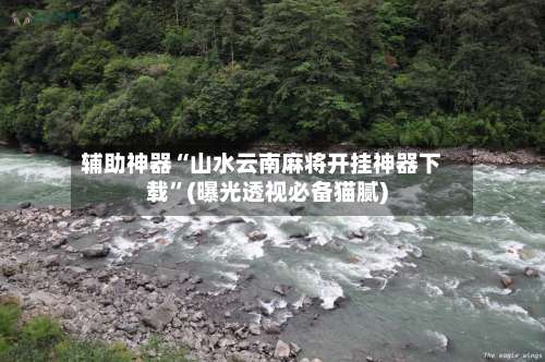 辅助神器“山水云南麻将开挂神器下载”(曝光透视必备猫腻)-第2张图片