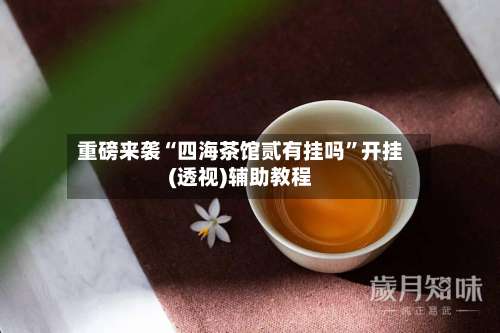 重磅来袭“四海茶馆贰有挂吗”开挂(透视)辅助教程-第3张图片