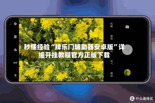 秒懂经验“牌乐门辅助器安卓版”详细开挂教程官方正版下载-第2张图片