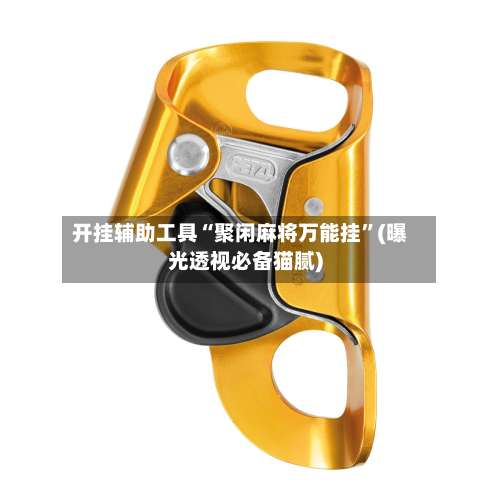 开挂辅助工具“聚闲麻将万能挂	”(曝光透视必备猫腻)-第1张图片