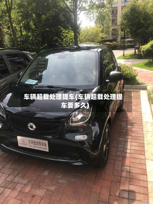 车辆超载处理提车(车辆超载处理提车要多久)-第1张图片