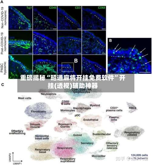 重磅揭秘“昭通麻将开挂免费软件	”开挂(透视)辅助神器-第2张图片
