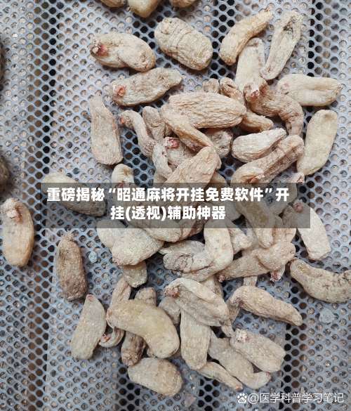 重磅揭秘“昭通麻将开挂免费软件”开挂(透视)辅助神器-第1张图片