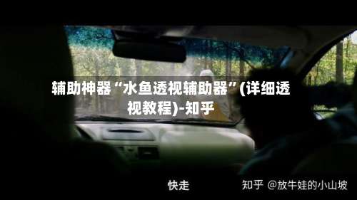 辅助神器“水鱼透视辅助器	”(详细透视教程)-知乎-第1张图片