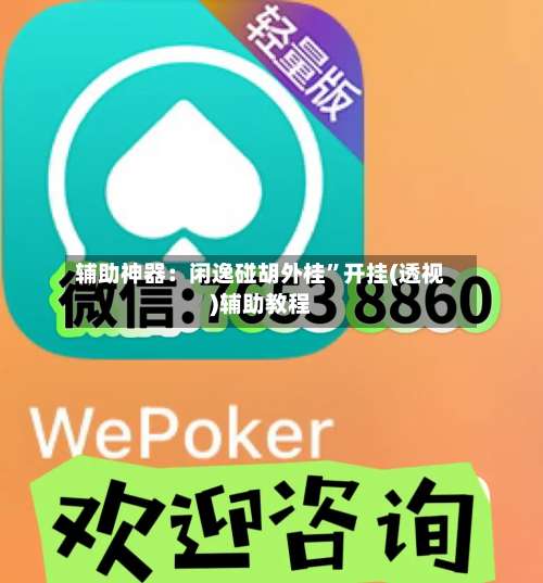 辅助神器：闲逸碰胡外桂”开挂(透视)辅助教程-第1张图片