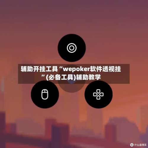 辅助开挂工具“wepoker软件透视挂”(必备工具)辅助教学-第3张图片