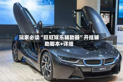 玩家必读“旺旺娱乐辅助器”开挂辅助脚本+详细-第1张图片