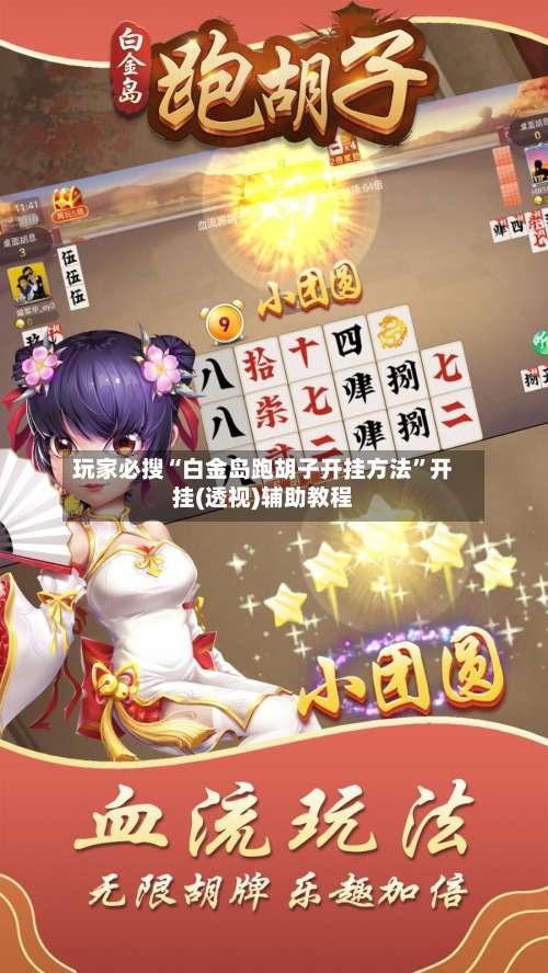 玩家必搜“白金岛跑胡子开挂方法	”开挂(透视)辅助教程-第1张图片