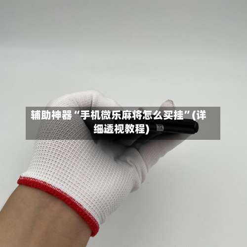 辅助神器“手机微乐麻将怎么买挂	”(详细透视教程)-第2张图片