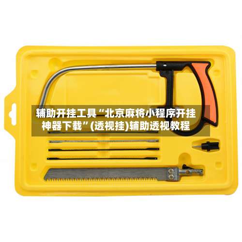 辅助开挂工具“北京麻将小程序开挂神器下载	”(透视挂)辅助透视教程-第1张图片