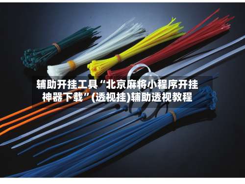 辅助开挂工具“北京麻将小程序开挂神器下载”(透视挂)辅助透视教程-第3张图片