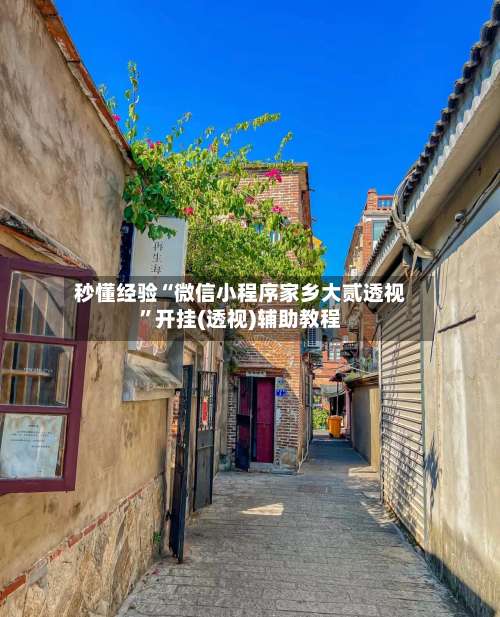 秒懂经验“微信小程序家乡大贰透视”开挂(透视)辅助教程-第3张图片