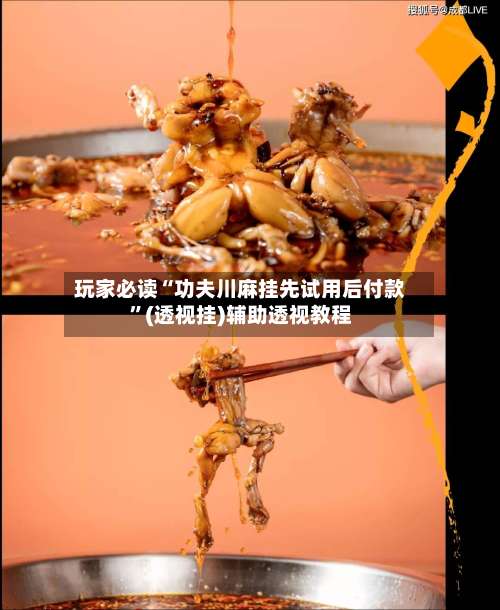 玩家必读“功夫川麻挂先试用后付款”(透视挂)辅助透视教程-第1张图片