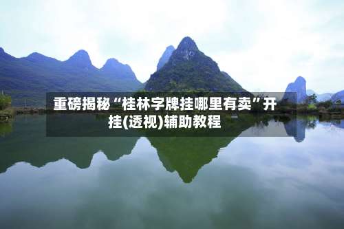 重磅揭秘“桂林字牌挂哪里有卖”开挂(透视)辅助教程-第1张图片