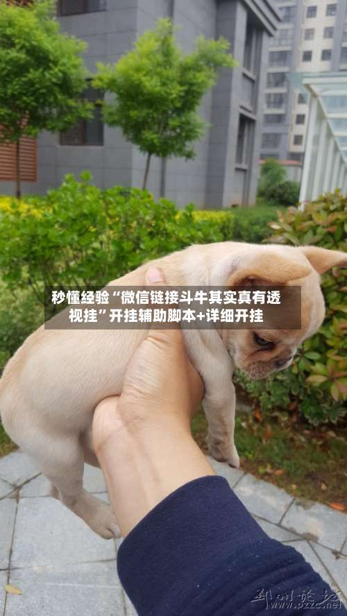 秒懂经验“微信链接斗牛其实真有透视挂	”开挂辅助脚本+详细开挂-第1张图片