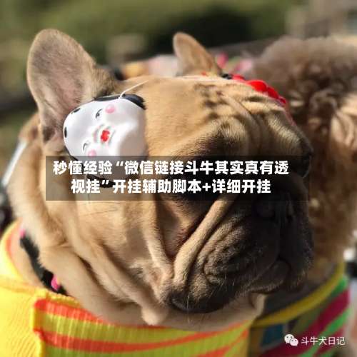 秒懂经验“微信链接斗牛其实真有透视挂”开挂辅助脚本+详细开挂-第2张图片