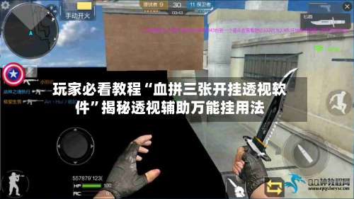 玩家必看教程“血拼三张开挂透视软件”揭秘透视辅助万能挂用法-第2张图片
