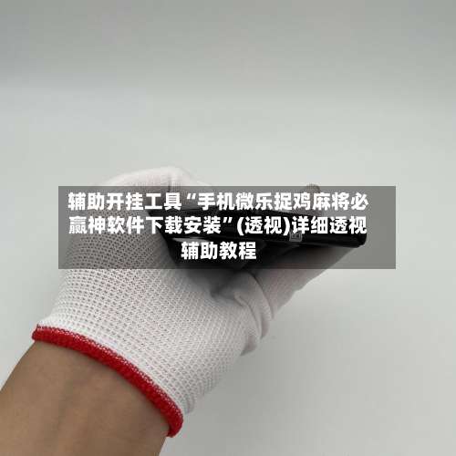 辅助开挂工具“手机微乐捉鸡麻将必赢神软件下载安装”(透视)详细透视辅助教程-第3张图片