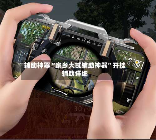 辅助神器“家乡大贰辅助神器”开挂辅助详细-第2张图片