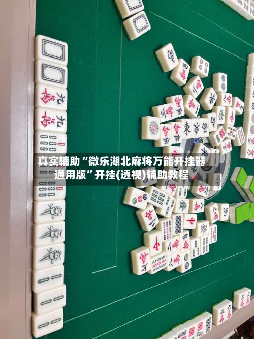 真实辅助“微乐湖北麻将万能开挂器通用版”开挂(透视)辅助教程-第3张图片