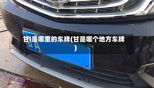甘l是哪里的车牌(甘是哪个地方车牌)-第2张图片